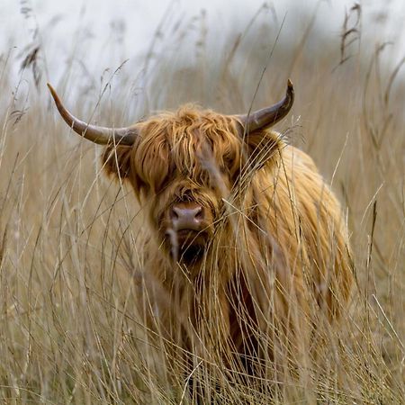Vakantiehuis Lieke Lauwersmeer Met Sauna Anjum Екстер'єр фото